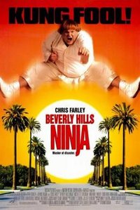 Beverly Hills Ninja