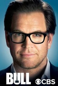 Bull (2016) - Season 1