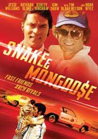 Snake And Mongoose