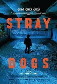 Stray Dogs