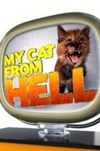 My Cat From Hell - Season 8