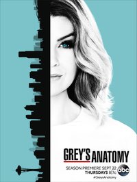 Greys Anatomy - Season 14