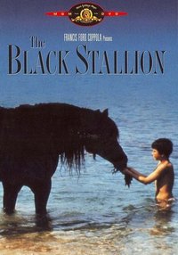 The Black Stallion