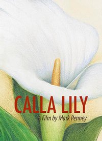 Calla Lily