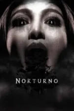 Nokturno