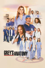 Grey's Anatomy - Season 21